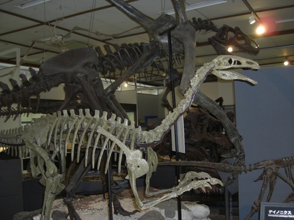 熊本県御船町恐竜博物館